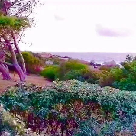 Hébergement de vacances Dei Ginepri - Sea View *